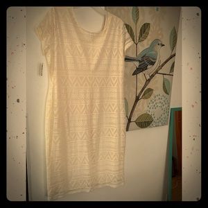 Dresses for plus sizes!